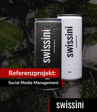 Social Media Aufbau: SWISSINI